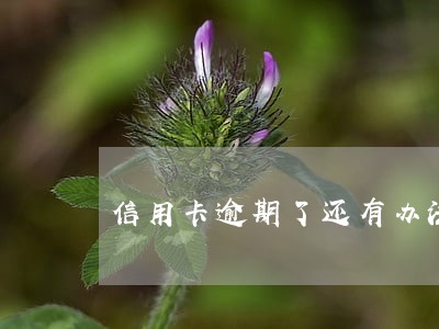 信用卡逾期了还有办法贷款吗 信用卡逾期了还有办法贷款吗