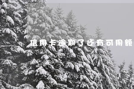 信用卡逾期了还有可用额度 信用卡逾期了还有可用额度