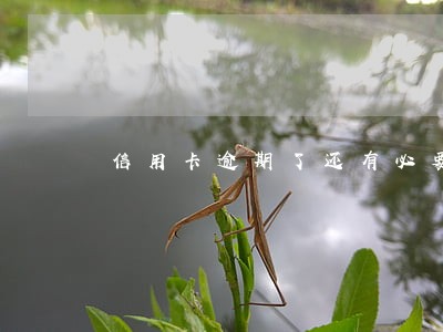 信用卡逾期了还有必要再用吗 信用卡逾期了还有必要再用吗