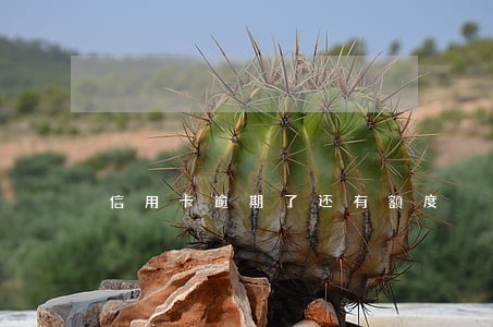 信用卡逾期了还有额度 信用卡逾期了还有额度