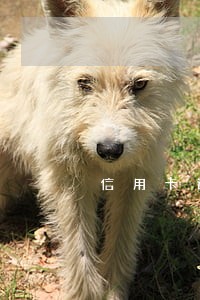 信用卡逾期了还款5年后还能用么 信用卡逾期了还款5年后还能用么