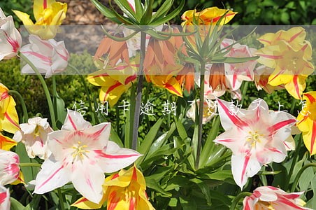 信用卡逾期了还款不上怎么办 信用卡逾期了还款不上怎么办