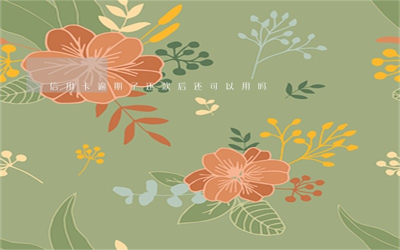 信用卡逾期了还款后还可以用吗 信用卡逾期了还款后还可以用吗