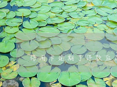 信用卡逾期了还款后还能不能使用 信用卡逾期了还款后还能不能使用