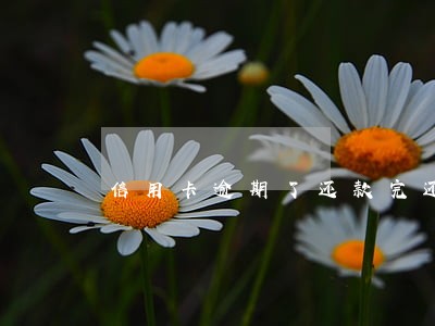 信用卡逾期了还款完还可以刷卡吗