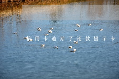 信用卡逾期了还款提示卡无效