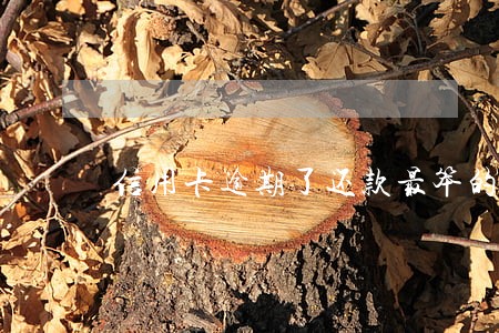 信用卡逾期了还款最笨的方法