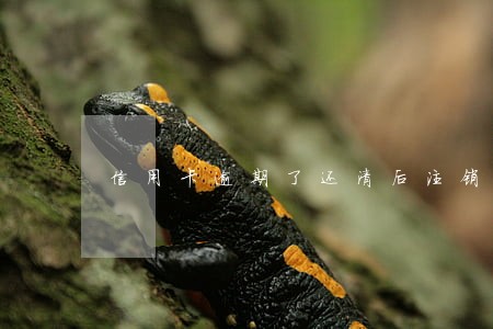 信用卡逾期了还清后注销