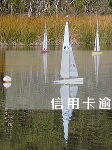 信用卡逾期了还清重新办 信用卡逾期了还清重新办