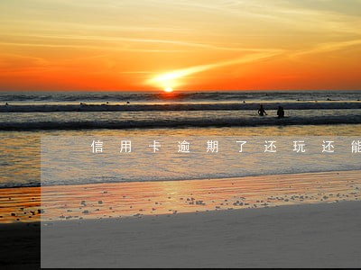信用卡逾期了还玩还能用吗 信用卡逾期了还玩还能用吗