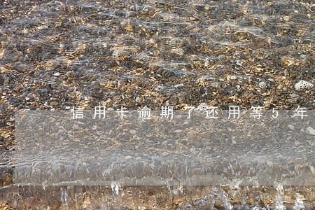 信用卡逾期了还用等5年吗
