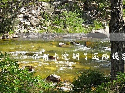 信用卡逾期了还给提额啦 信用卡逾期了还给提额啦
