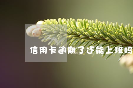 信用卡逾期了还能上班吗