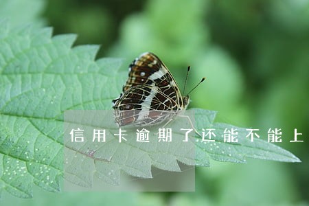 信用卡逾期了还能不能上征信 信用卡逾期了还能不能上征信
