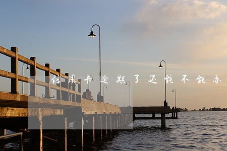 信用卡逾期了还能不能办新卡 信用卡逾期了还能不能办新卡