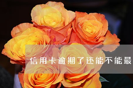 信用卡逾期了还能不能最低还款 信用卡逾期了还能不能最低还款
