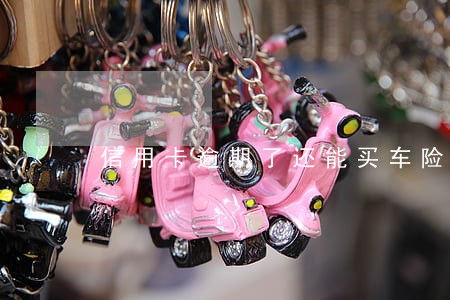 信用卡逾期了还能买车险吗 信用卡逾期了还能买车险吗