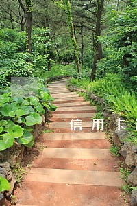 信用卡逾期了还能借出来钱吗 信用卡逾期了还能借出来钱吗