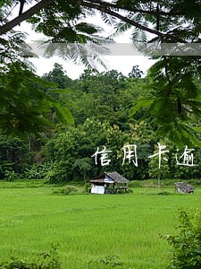 信用卡逾期了还能借的网贷 信用卡逾期了还能借的网贷
