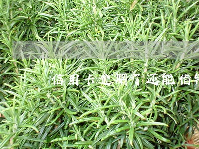 信用卡逾期了还能借钱嘛 信用卡逾期了还能借钱嘛