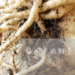 信用卡逾期了还能再办吗 信用卡逾期了还能再办吗