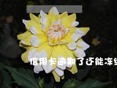 信用卡逾期了还能冻结微信号吗 信用卡逾期了还能冻结微信号吗