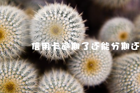 信用卡逾期了还能分期还 信用卡逾期了还能分期还