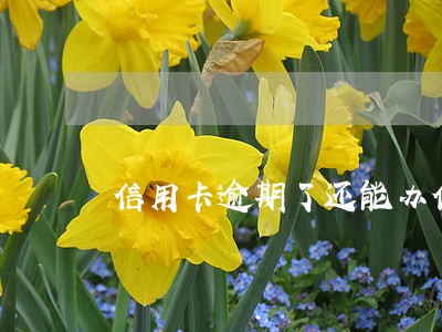 信用卡逾期了还能办信用卡 信用卡逾期了还能办信用卡