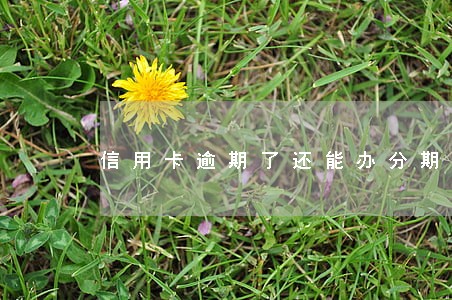 信用卡逾期了还能办分期还款吗