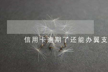 信用卡逾期了还能办翼支付吗