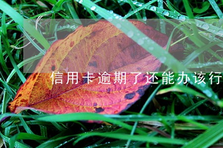 信用卡逾期了还能办该行银行卡吗 信用卡逾期了还能办该行银行卡吗