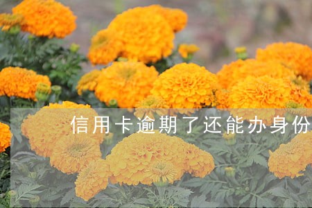 信用卡逾期了还能办身份证吗 信用卡逾期了还能办身份证吗