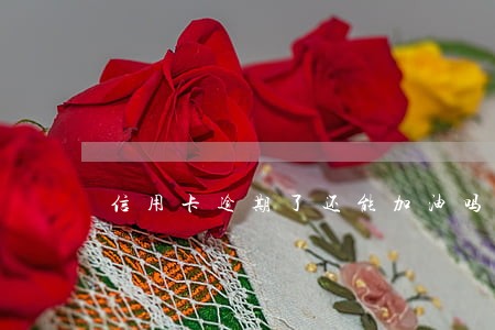 信用卡逾期了还能加油吗 信用卡逾期了还能加油吗
