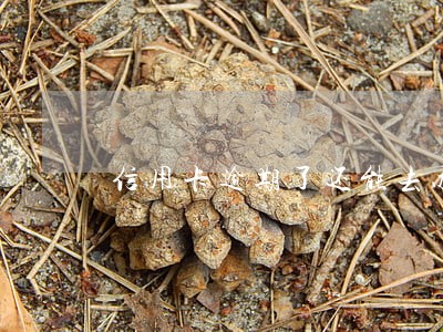 信用卡逾期了还能去办理银行卡