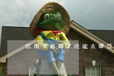 信用卡逾期了还能去哪贷贷款