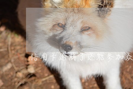 信用卡逾期了还能参加众筹吗 信用卡逾期了还能参加众筹吗