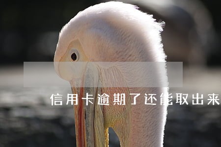 信用卡逾期了还能取出来吗