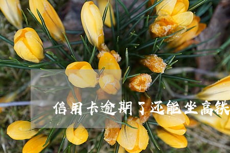 信用卡逾期了还能坐高铁吗 信用卡逾期了还能坐高铁吗