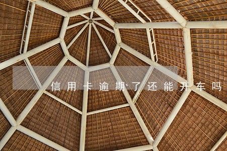 信用卡逾期了还能开车吗