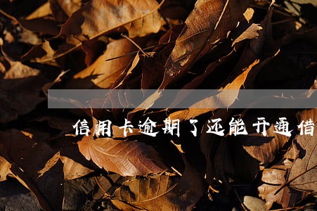 信用卡逾期了还能开通借呗吗 信用卡逾期了还能开通借呗吗