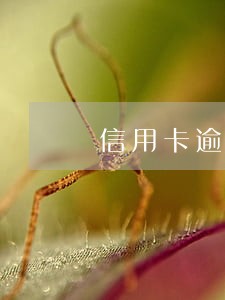 信用卡逾期了还能找什么工作 信用卡逾期了还能找什么工作