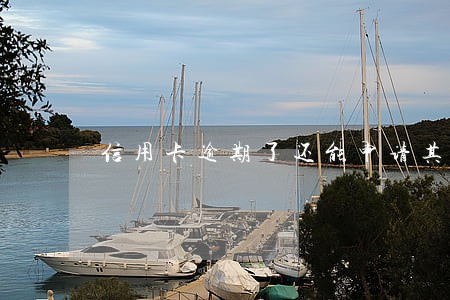 信用卡逾期了还能申请其他行吗 信用卡逾期了还能申请其他行吗