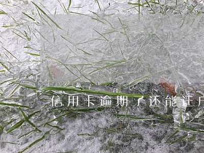信用卡逾期了还能迁户口吗 信用卡逾期了还能迁户口吗