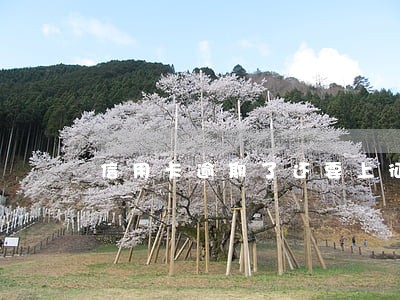 信用卡逾期了还要上征信 信用卡逾期了还要上征信