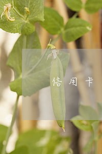 信用卡逾期了还要再次还款吗 信用卡逾期了还要再次还款吗