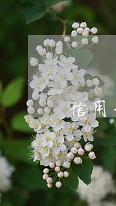 信用卡逾期了还进去会降额吗 信用卡逾期了还进去会降额吗