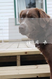信用卡逾期了还进去还可以 信用卡逾期了还进去还可以
