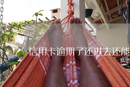 信用卡逾期了还进去还能取出来