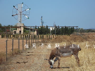 信用卡逾期了这3个方法建议收藏 信用卡逾期了这3个方法建议收藏