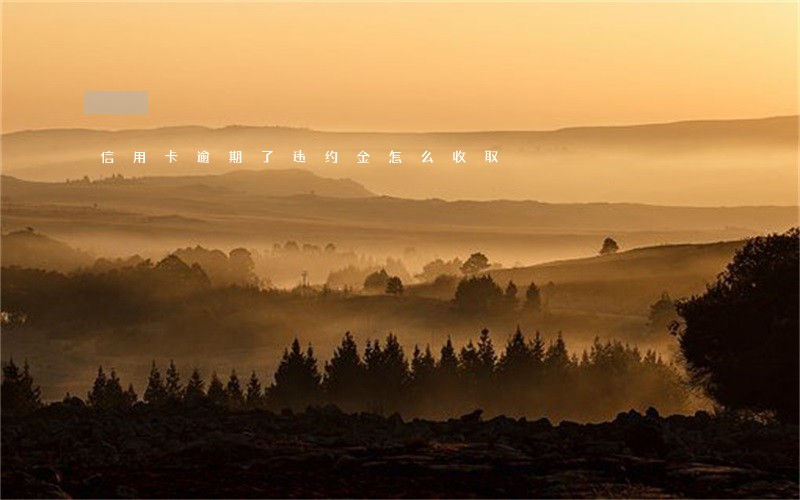 信用卡逾期了违约金怎么收取